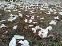 -同济大学(嘉定校区)