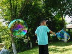 -铁山坪森林公园