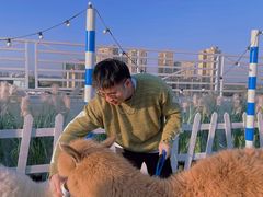 -Blue Concept Cafe&Farm·關於藍