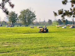 -汉长安城未央宫国家考古遗址公园