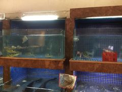 水产区-江海渔港(姚港路店)