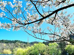 -大连植物园