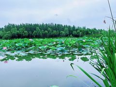 -长春北湖公园