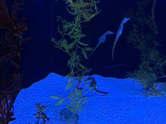 -上海海洋水族馆-停车场