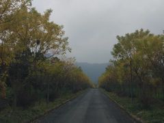 -帐篷客·溪龙茶谷度假酒店