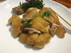 招牌煎焗扇鸡-顺德了能馆(虎门店)