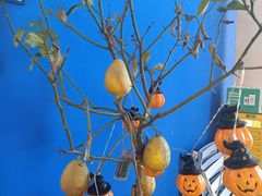 -茶救星球·蔬果茶(东城万达店)