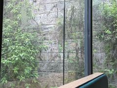 -树厨贵州菜(铜仁花果山店)