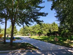 -长春公园(普阳街道)