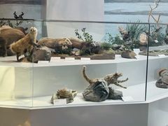 -杭州西湖博物馆总馆