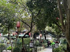 -阿巧茶庄