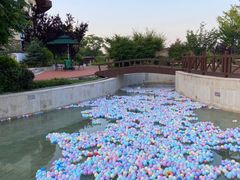 -大连金石滩绿发温泉假日酒店