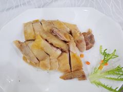 白切鸡-醉贤居