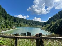 -武陵山森林公园
