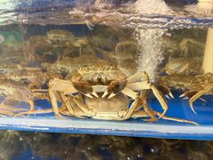 -阳澄湖大闸蟹·琼灵阁牌品牌连锁(吴中总店)