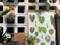 -自由生长植物工作室(深港花卉中心店)