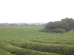 -敬亭山风景名胜区