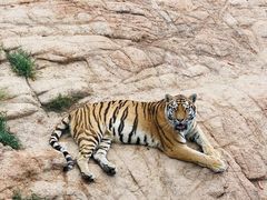 -西霞口神雕山野生动物世界