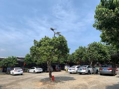 -满記土窑烧鷄波浪山莊