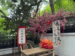 -杭州黄龙洞