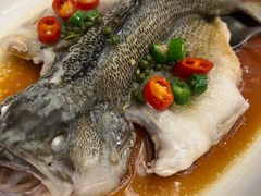 -湛江菜.江南首席(昆山店)