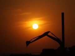 -合肥滨湖国家森林公园