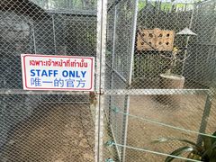 -清迈夜间动物园