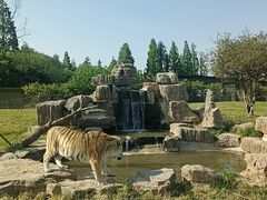 -上海野生动物园