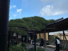 -中村藤吉(本店)