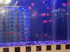 -正院大宅门烤鸭(首体店)