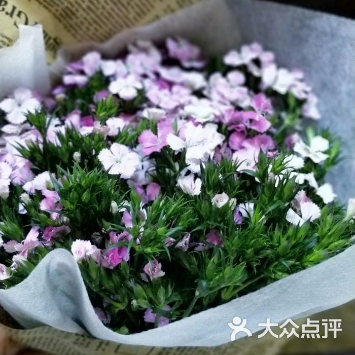 迷迭香花店