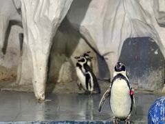 -太平洋海底世界