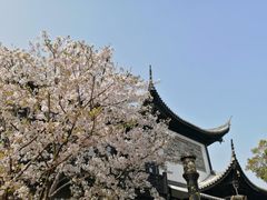 -上海皇廷花园酒店·西餐厅·自助餐