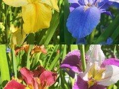 -南通洲际绿博园