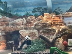 -石家庄市动物园