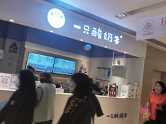 -一只酸奶牛(时代天街A馆店)