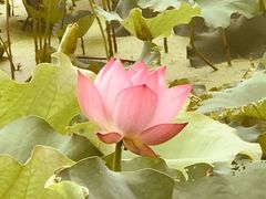 -潜口民宅博物馆