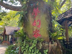 -呀诺达热带雨林