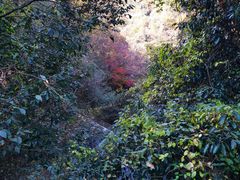 -燕子河大峡谷天坑仙境