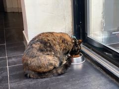 -EATALIA意塔利意式餐厅(鼓楼店)