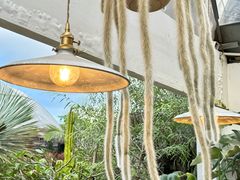-自由生长植物工作室(深港花卉中心店)