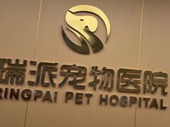 -瑞派康怡24h宠物医院·犬猫医疗中心·微创绝育(瑞景分院)