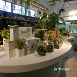怎样吃《素》才健康？