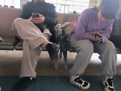 -绵阳南郊机场