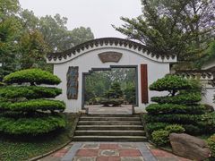 -南山植物园