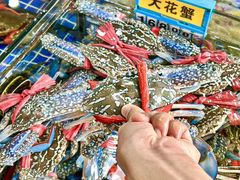 -明记海鲜大排档(巽寮湾店)