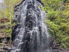 -凤凰山国家森林公园