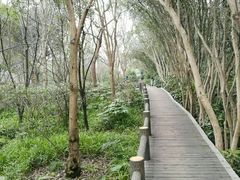 -新江湾城公园