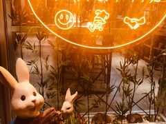 -苗小坛酸汤鱼(酒仙桥店)