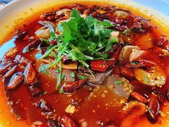 -天堂鸟水煮鱼·烟火川菜(凤凰路店)